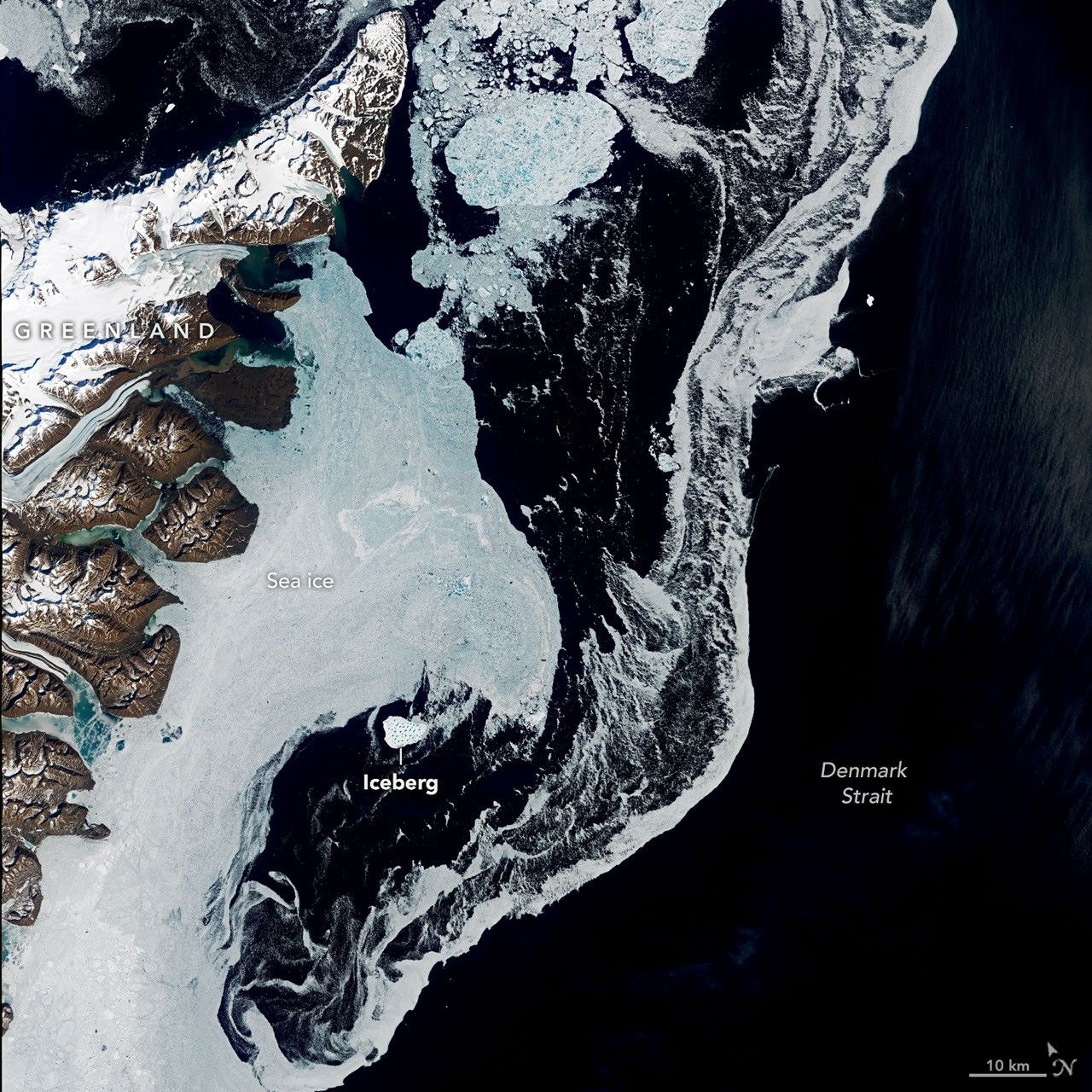 An Uncommon Drifter in the Denmark Strait