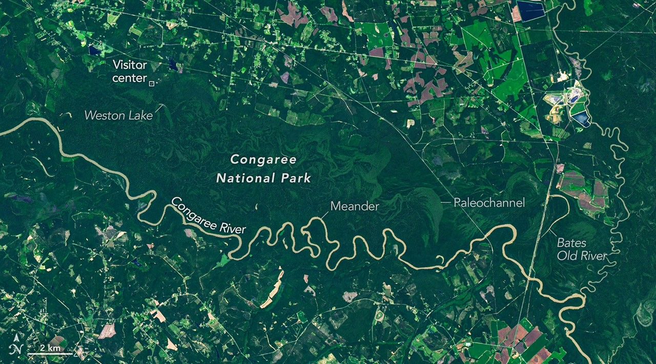 The Forested Floodplains of Congaree National Park